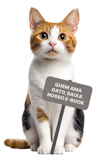 Gato com placa